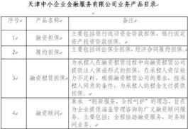 中國(guó)長(zhǎng)城資產(chǎn)管理公司控股子公司 產(chǎn)品技術(shù)服務(wù)的戰(zhàn)略布局與市場(chǎng)競(jìng)爭(zhēng)力